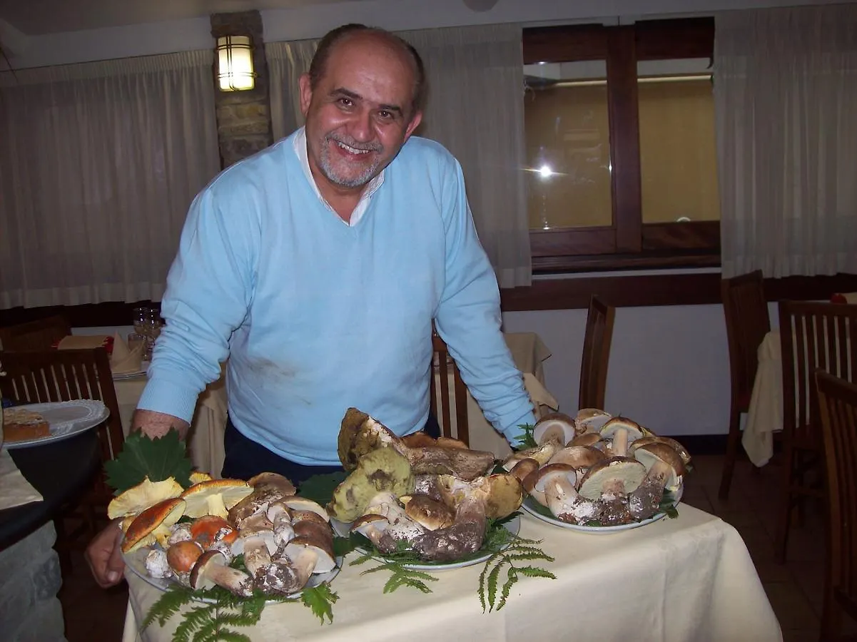 ארנצאנו Hotel Ulivi