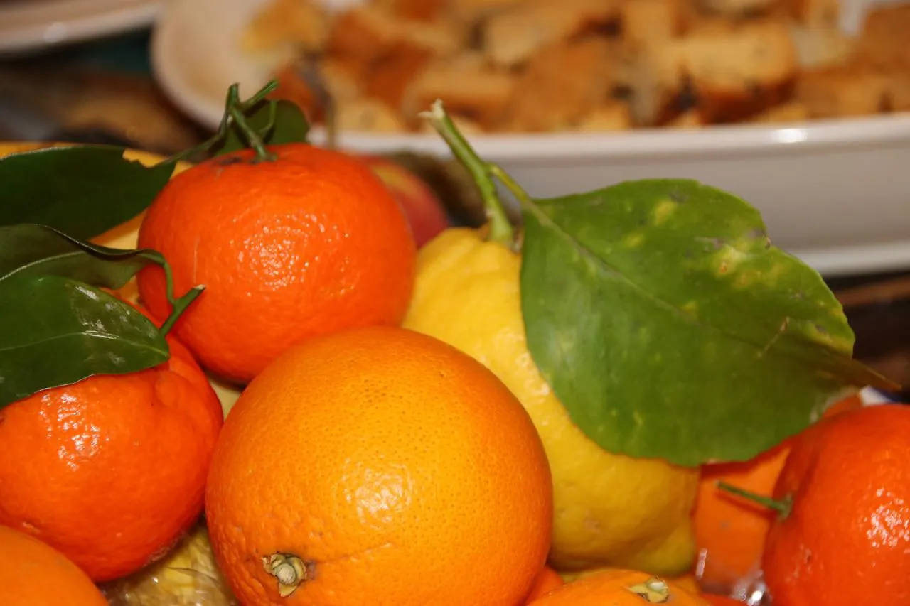 ***  ארנצאנו Hotel Ulivi איטליה